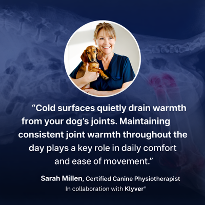 Self Warming Dog Mat