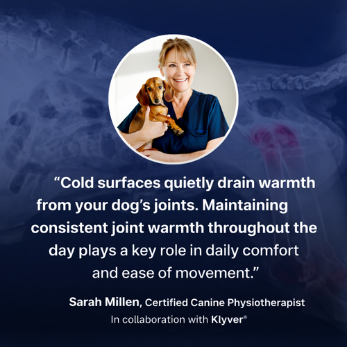 Self Warming Dog Mat
