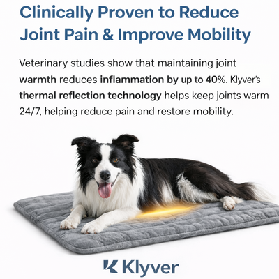 Self Warming Dog Mat