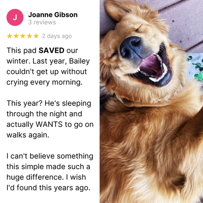 Self Warming Dog Mat