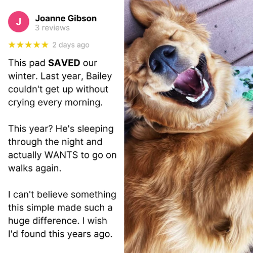 Self Warming Dog Mat